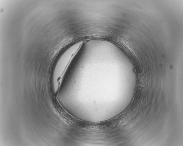 X0000088620738200706221455