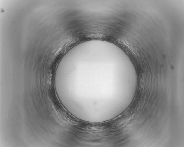 X0000088620739200706221455