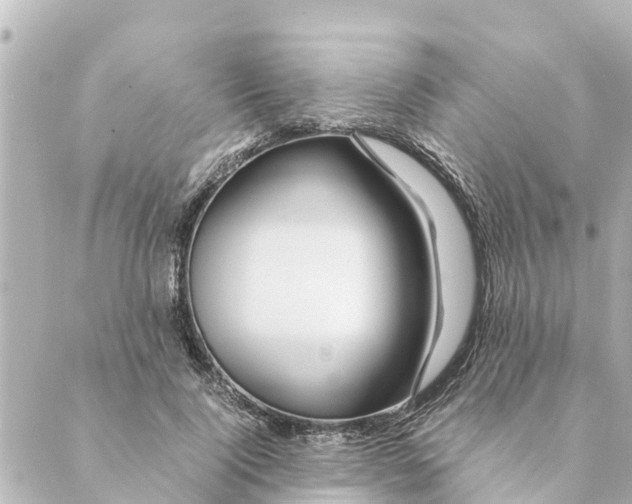 X0000088620740200706221455