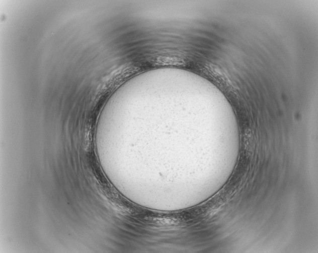 X0000088620741200706221455