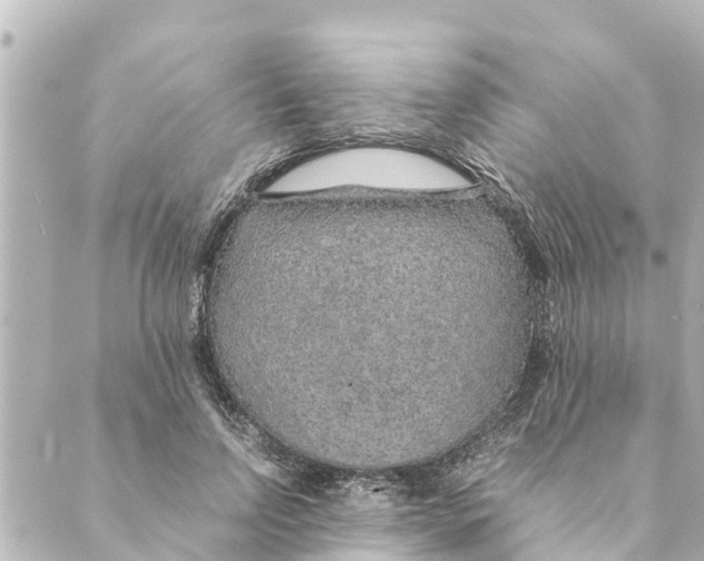 X0000088620742200706221455