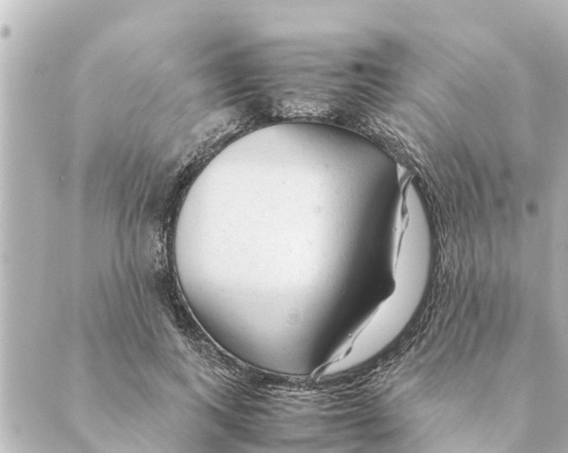 X0000088620743200706221455