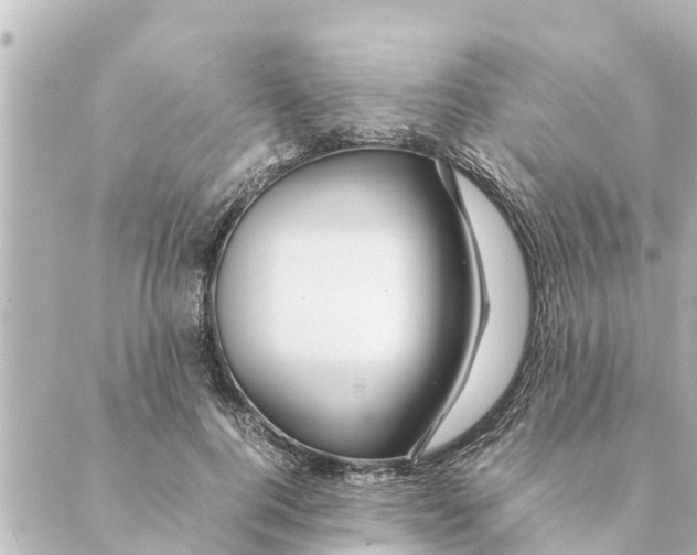 X0000088620744200706221455