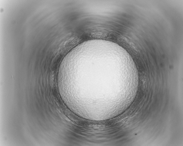 X0000088620745200706221455