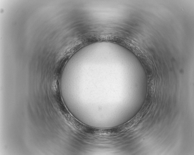 X0000088620746200706221455