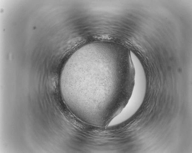 X0000088620747200706221455