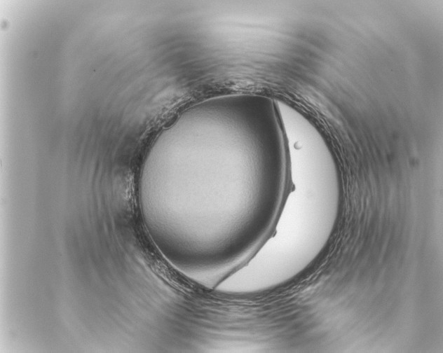 X0000088620748200706221455