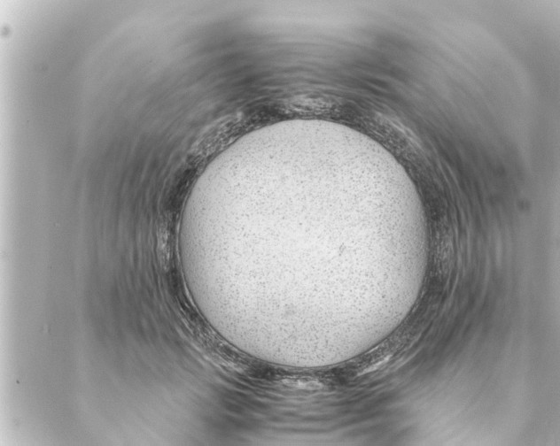 X0000088620749200706221455