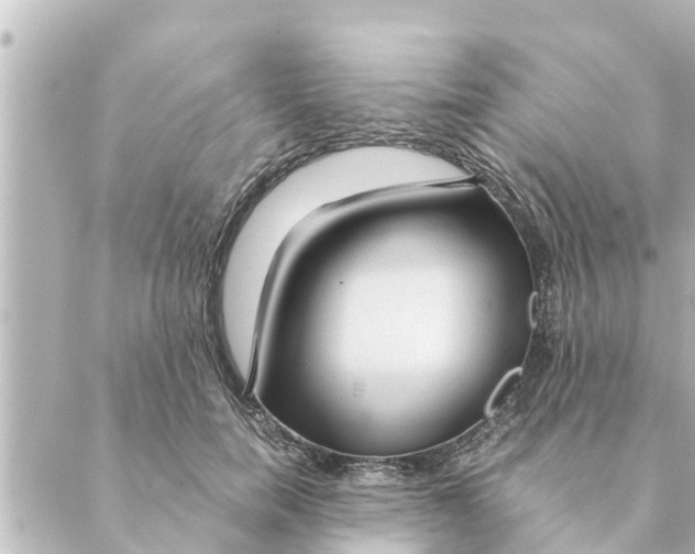 X0000088620750200706221455