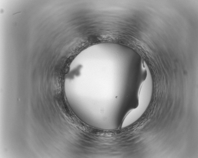 X0000088620751200706221455