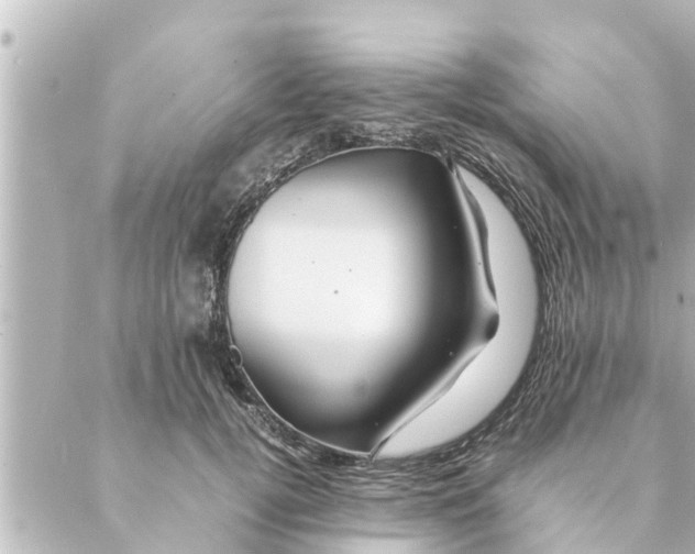 X0000088620752200706221455