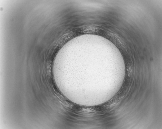 X0000088620753200706221455