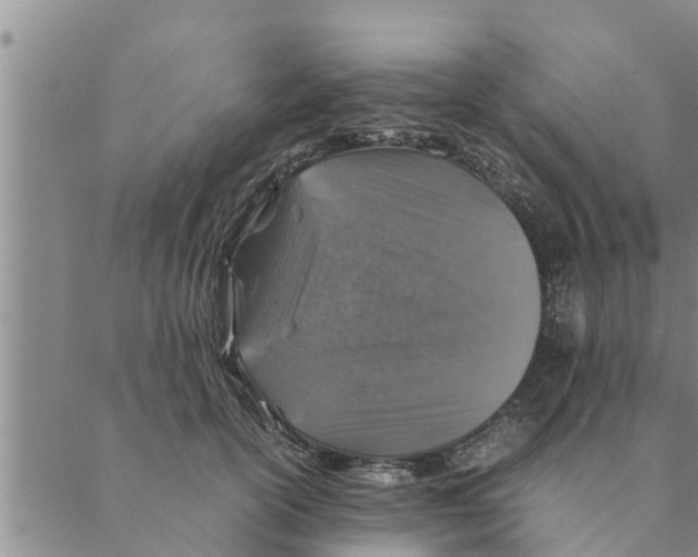 X0000088620754200706221455