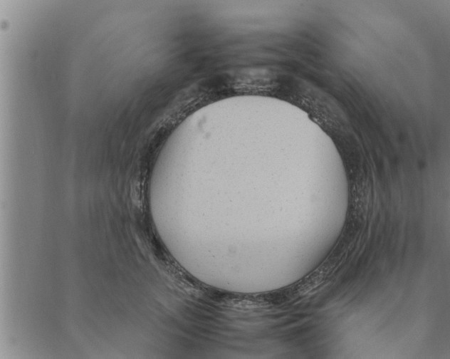 X0000088620755200706221455