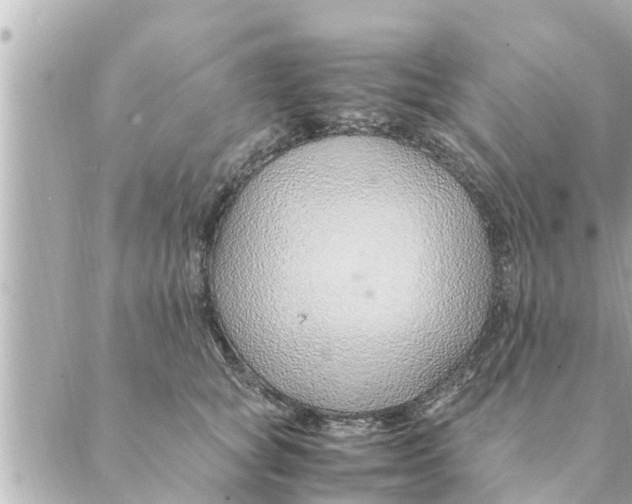 X0000088620757200706221455