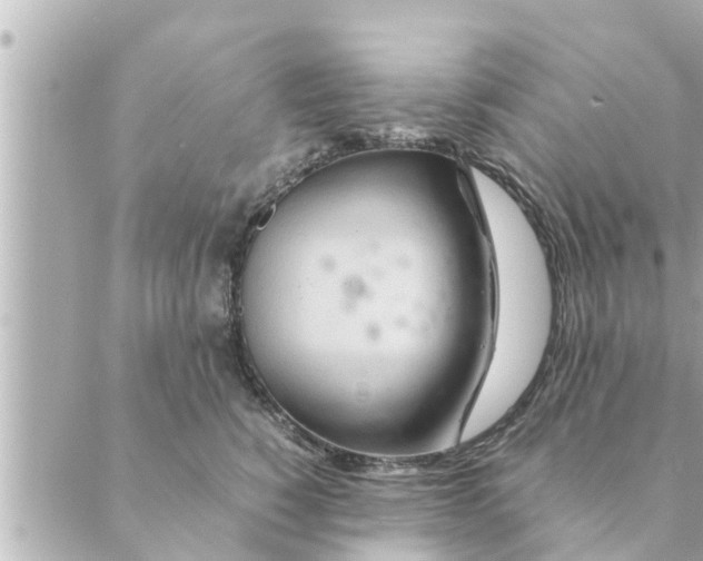 X0000088620760200706221455