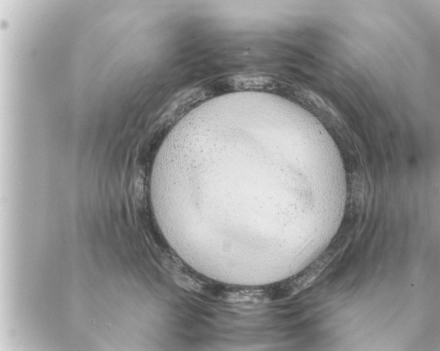 X0000088620761200706221455