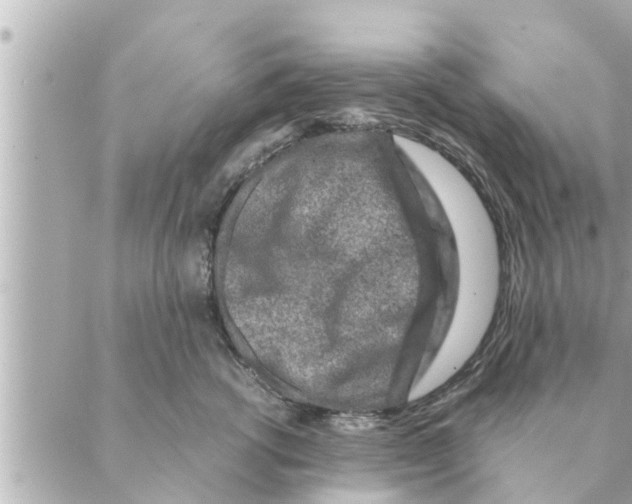 X0000088620762200706221455