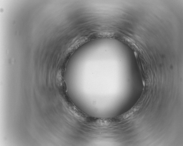 X0000088620764200706221455