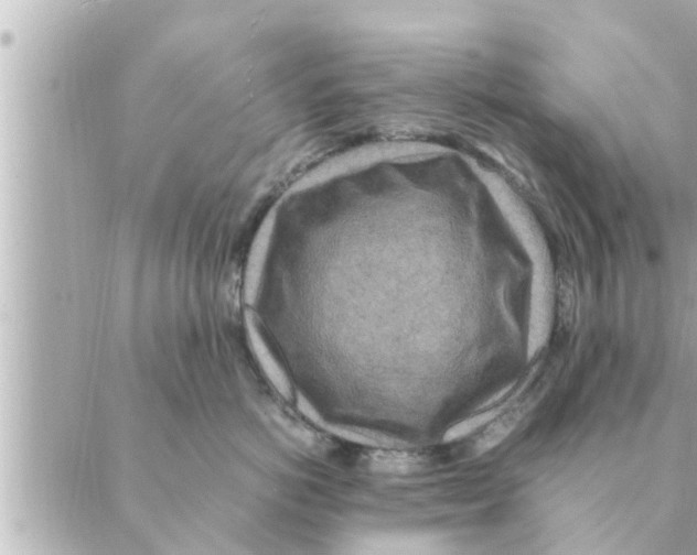 X0000088620766200706221455