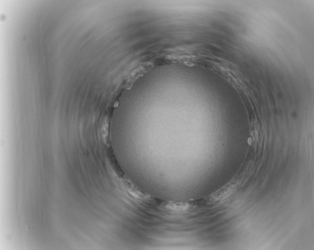 X0000088620767200706221455