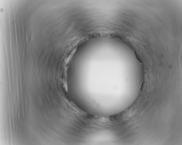 X0000088620768200706221455