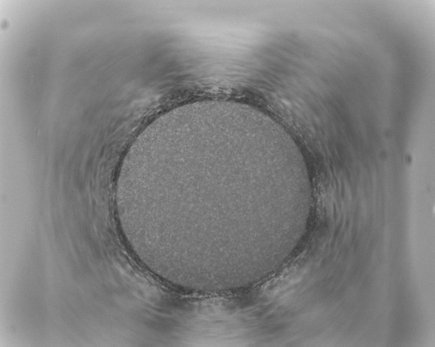 X0000088620769200706221454