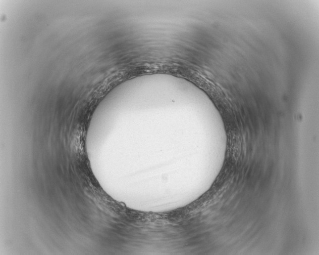 X0000088620770200706221454