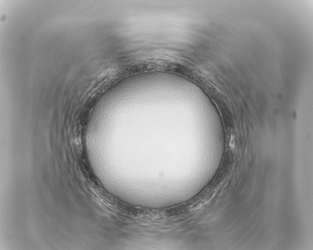 X0000088620771200706221454