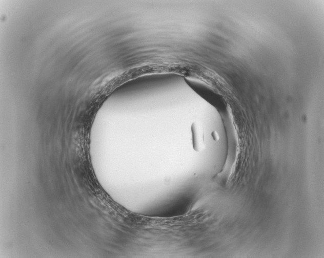 X0000088620773200706221454