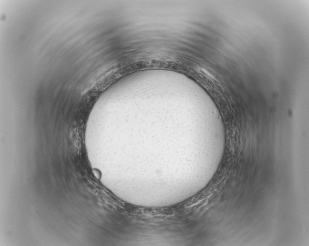 X0000088620774200706221454