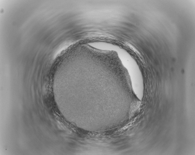 X0000088620775200706221454