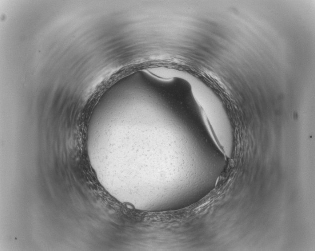 X0000088620776200706221454