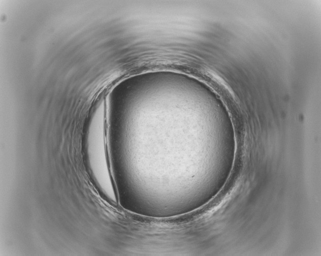 X0000088620777200706221454