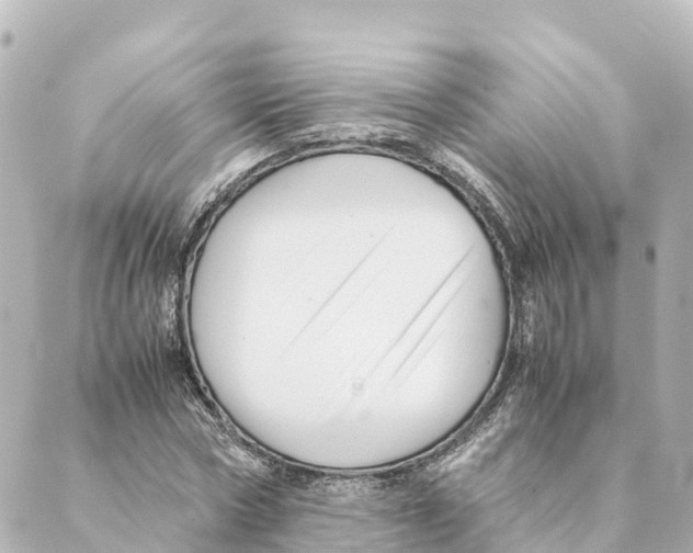 X0000088620778200706221454