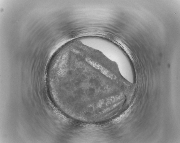 X0000088620779200706221454