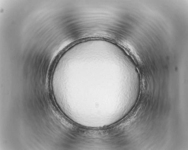 X0000088620780200706221454