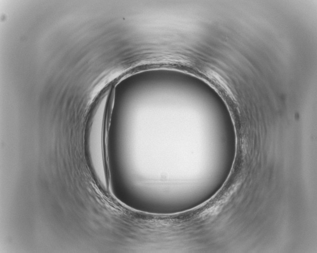 X0000088620781200706221454