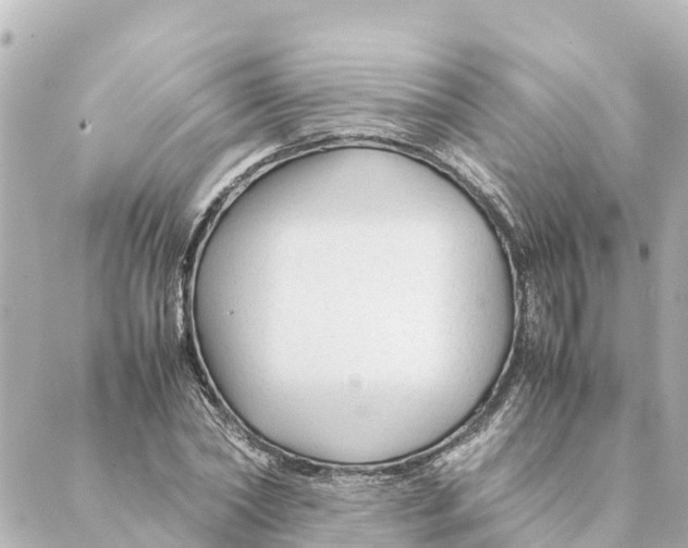 X0000088620782200706221454