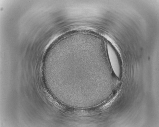 X0000088620783200706221454