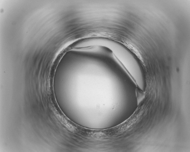 X0000088620784200706221454