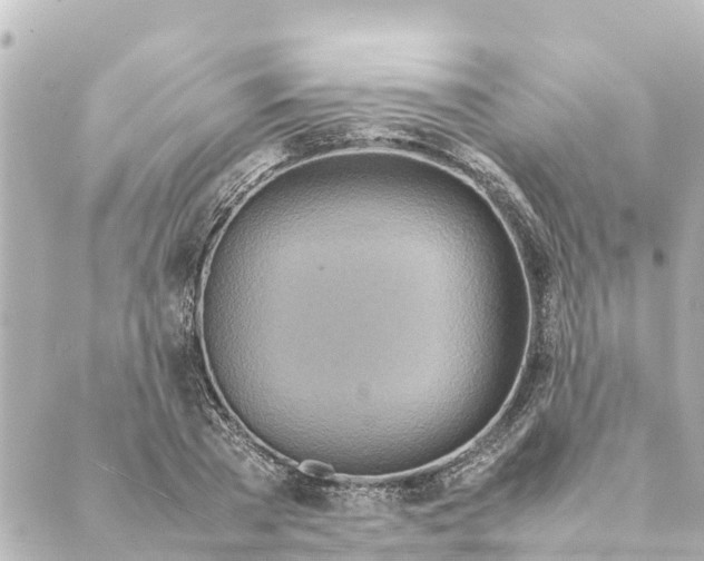 X0000088620785200706221454