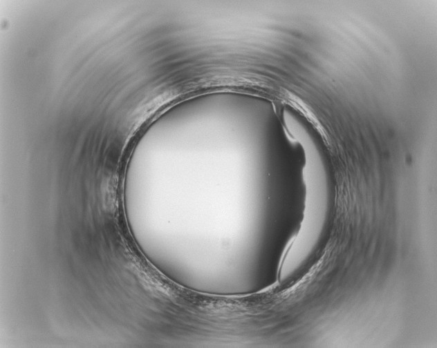 X0000088620786200706221454