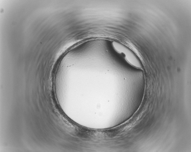 X0000088620787200706221454