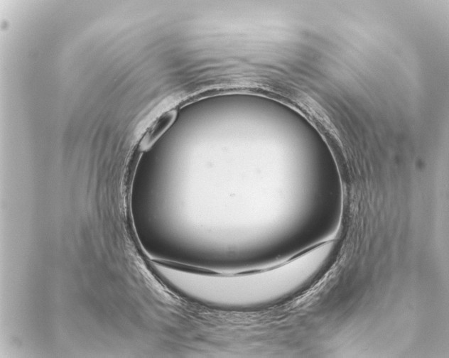 X0000088620789200706221454