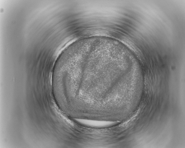 X0000088620790200706221454