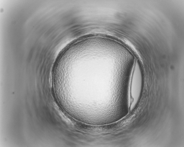 X0000088620791200706221454