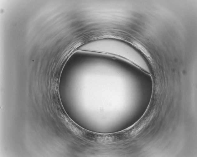 X0000088620793200706221454