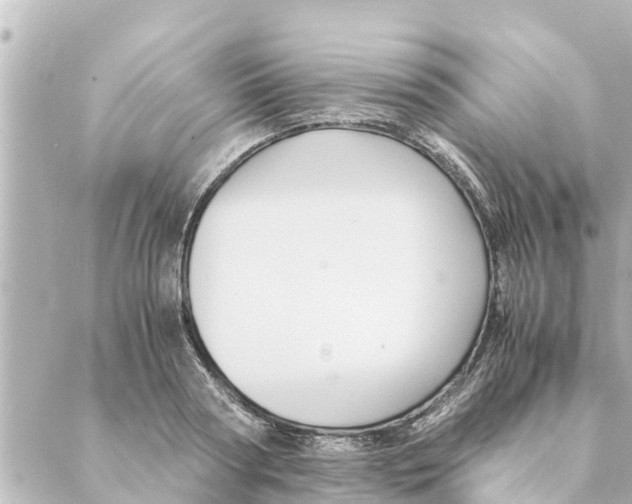 X0000088620794200706221454