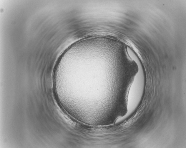 X0000088620795200706221454